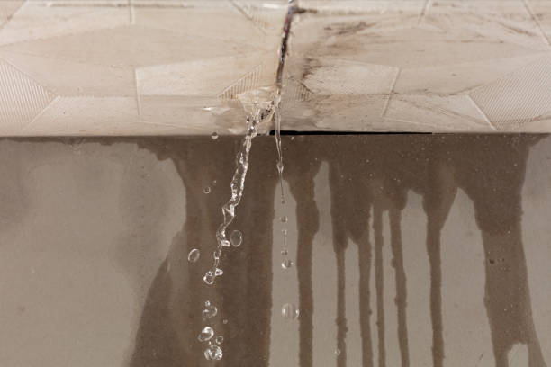 Professional Water Damage Inspection technician working in Newport, KY